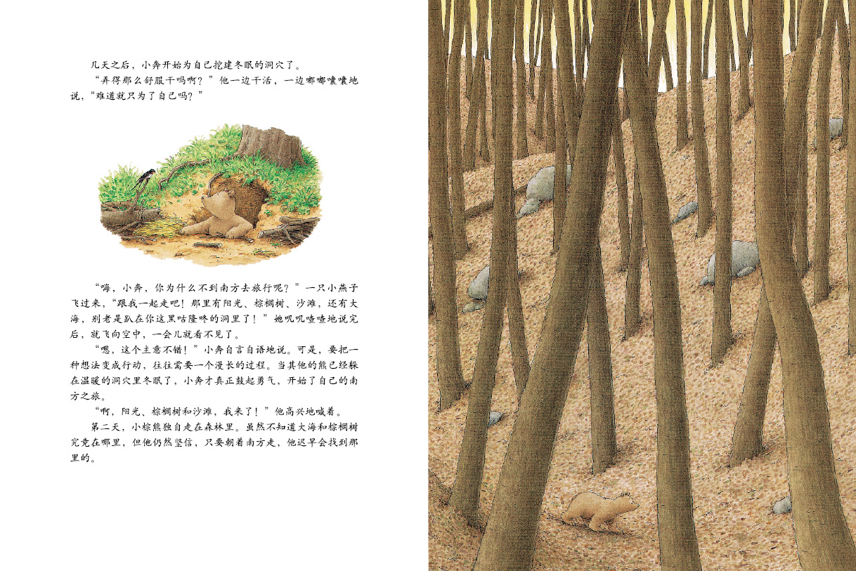 小棕熊的梦 (04),绘本,绘本故事,绘本阅读,故事书,童书,图画书,课外阅读